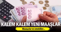 Memurlar ve emekliler… Kalem kalem yeni maaşlar