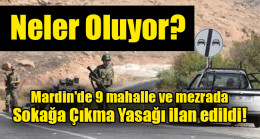 Mardin’de 9 mahalle ve mezrada sokağa çıkma yasağı ilan edildi