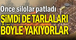 Önce silolar patladı: Şimdi de tarlaları böyle yakıyorlar