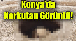 Konya’da Korkutan Görüntü!