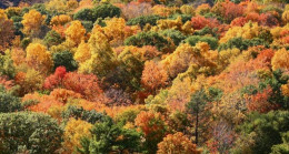 Doğal gaz faturasını yarı yarıya indiren y’öntem..