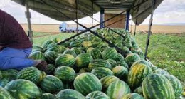 Dusta İdrar Yapmak Zararlımı