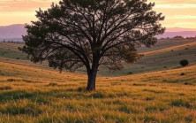 Girdiği eve doktor girmiyor