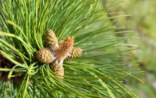 Yunanistan’ın kuşatma planı, Türkiye için savaş sebebi!