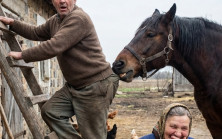 Yaşlı adam çatıdaki kuru dalları temizlemek için merdivenlerden çıktı