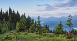 Zengin Bir İş İnsanının Kayıp Kızı ve 120 Liralık İnsanlık Sınavı