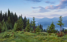 Kızının kayboluşundan sekiz yıl sonra bir anne, bir adamın kolundaki dövmede kızının yüzünü tanır. Dövmenin ardındaki gerçek ise onu adeta nefessiz bırakır.