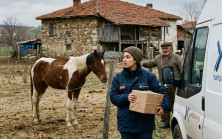 Sadece bir paket teslim edecektim