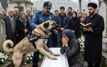 Oğlunun cenazesinde yaşlı polis köpeği tabuta saldırınca herkes onu deli sandı,