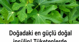Doğadaki en güçlü doğal insülin!