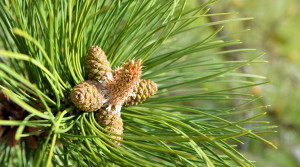 Kocam Hasta Olunca Kendimi Ona Adadım