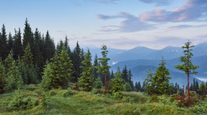 54 yaşında, kızımı rahatsız etmemek için sadece birkaç aydır tanıdığım bir adamla birlikte yaşamaya başladım