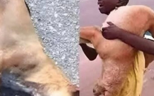 Köpeğinizin Özel Bölgelerinizi Koklamaya Takıntılı Olmasının Sebebi Ne?