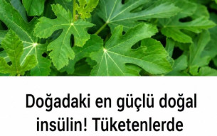 Doğadaki en güçlü doğal insülin!