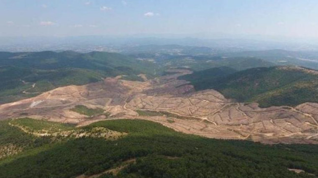 Tarım ve Orman Bakanlığından Kazdağları açıklaması…İşte kesilen ağaç sayısı