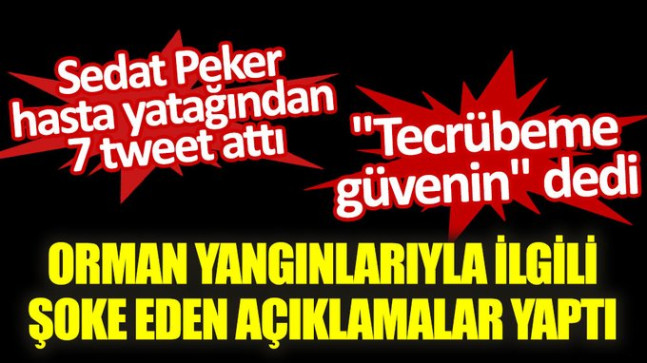 Orman yangınlarıyla ilgili şoke eden açıklamalar yaptı