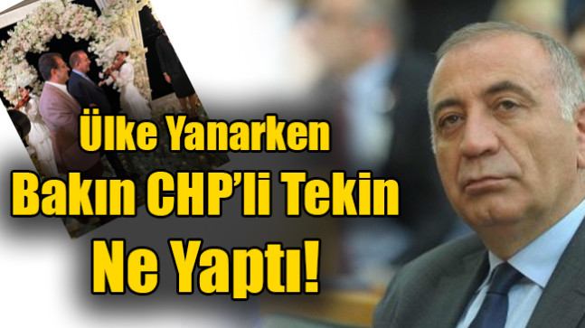 Ülke Yanarken Bakın CHP’li Tekin  Ne Yaptı!