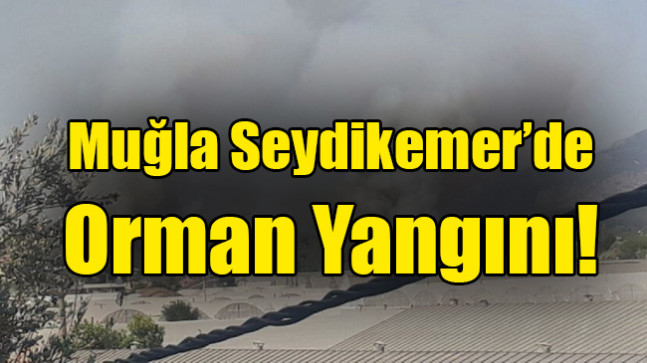 Muğla Seydikemer’de orman yangını