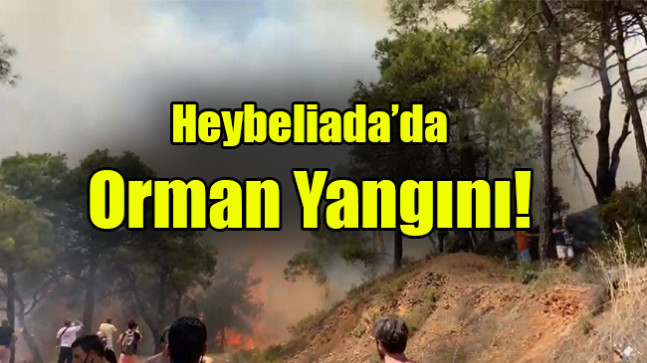 Heybeliada’da orman yangını