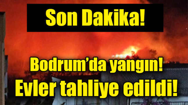 Bodrum’da  yangın! Evler tahliye edildi
