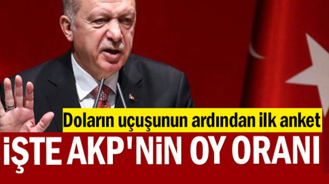 Doların uçuşunun ardından ilk anket: İşte AKP’nin oy oranı