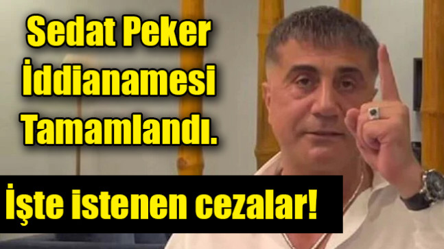 Sedat Peker iddianamesi tamamlandı… İşte istenen cezalar