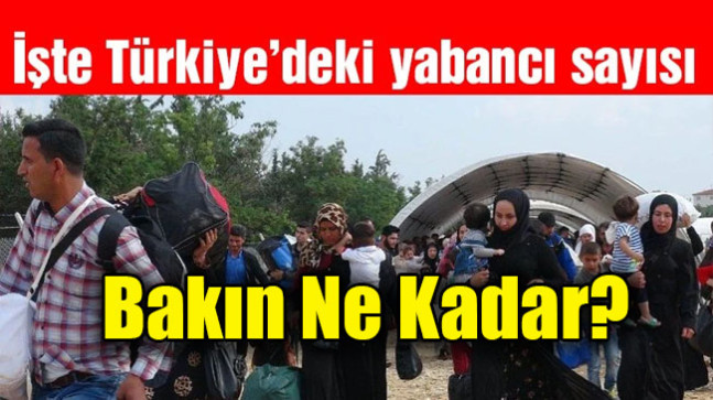 Türkiye’de kaç yabancı var, ne kadarı Suriyeli?