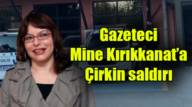 Gazeteci Mine Kırıkkanat’a çirkin saldırı