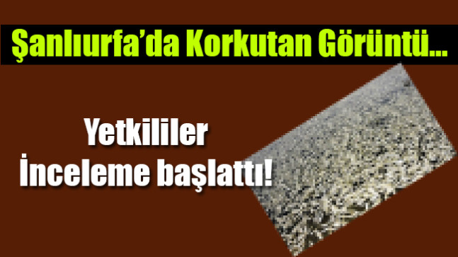 Şanlıurfa’da Korkutan Görüntüler…