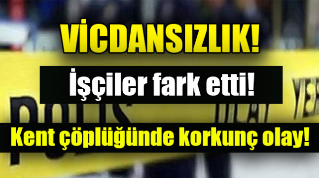 İşçiler fark etti! Kent çöplüğünde korkunç olay!