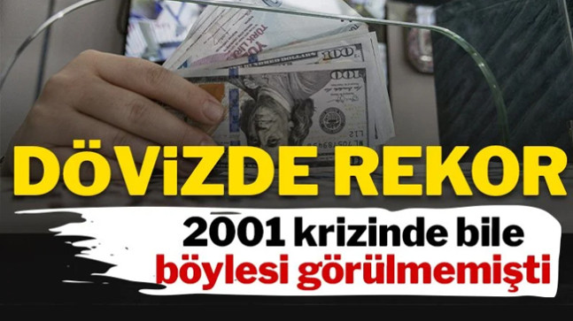 Mevduatta TL payı dibe vurdu