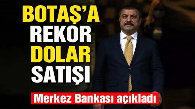 Merkez’den Botaş’a rekor döviz satışı