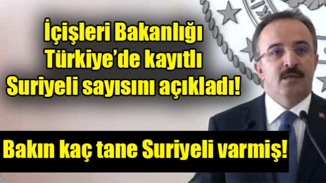 İçişleri Bakanlığı Türkiye’de kayıtlı Suriyeli sayısını açıkladı
