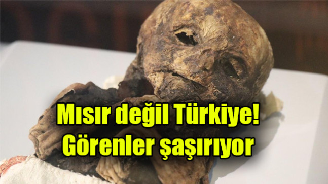Mısır değil Türkiye! Görenler şaşırıyor
