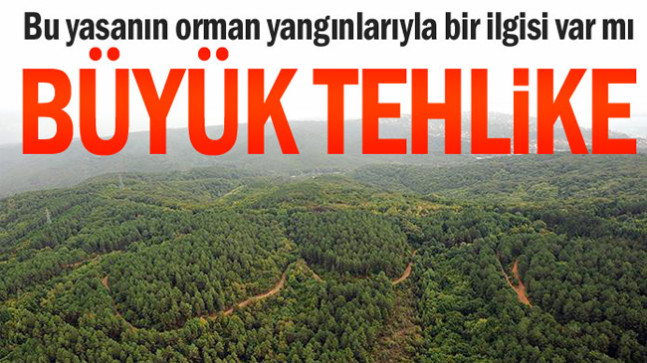 Bu yasanın orman yangınlarıyla bir ilgisi var mı… Büyük tehlike