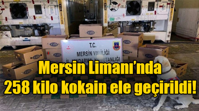 Mersin Limanı’nda 258 kilo kokain ele geçirildi!