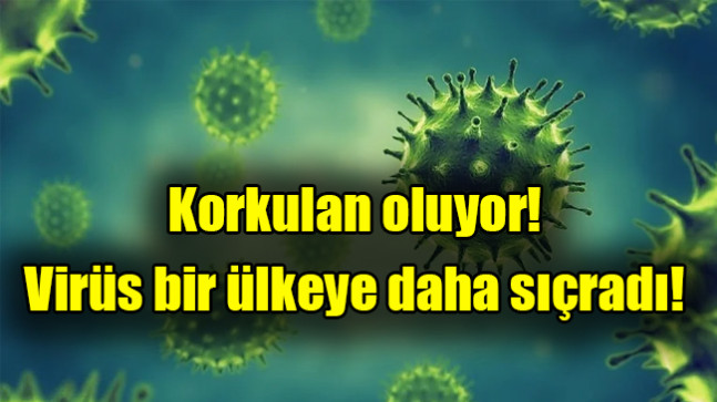 Korkulan oluyor! Virüs bir ülkeye daha sıçradı