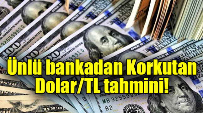 Ünlü bankadan Korkutan Dolar/TL tahmini!