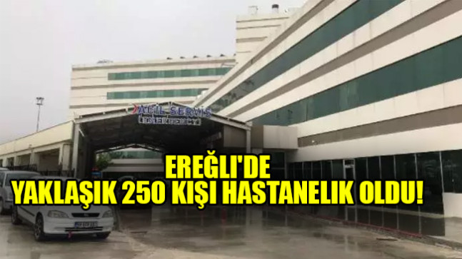 Ereğli’de yaklaşık 250 kişi hastanelik oldu