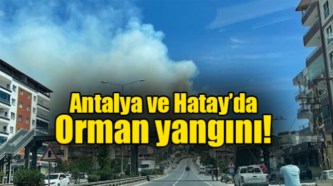 Antalya ve Hatay’da orman yangını