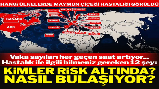 Maymun çiçeği (Monkeypox) salgını ile ilgili bilinmesi gereken 12 detay: Nasıl test ediliyor, kim risk altında?