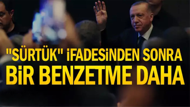 “Sürtük” ifadesinden sonra bir benzetme daha