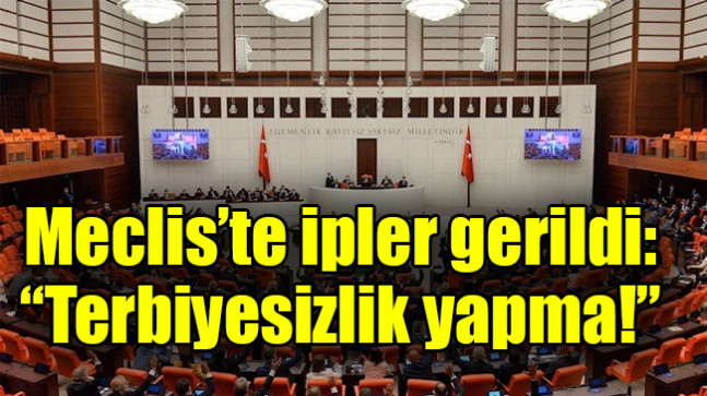 Meclis’te ipler gerildi: Terbiyesizlik yapma!