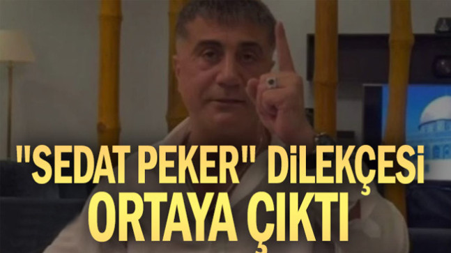 “Sedat Peker” dilekçesi ortaya çıktı