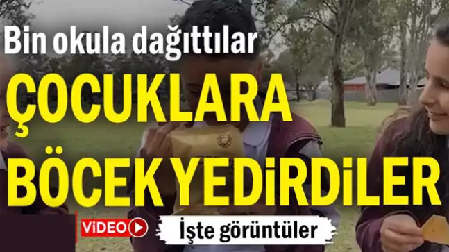 Bin okula dağıttılar, çocuklara böcek yedirdiler