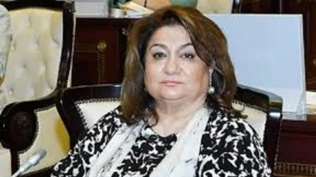 Hijran Hüseynova: “Ermeniler’in işi provokasiyon peşinde koşmak”