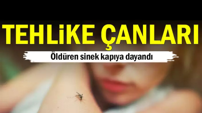 Tehlike çanları… Öldüren sinek kapıya dayandı
