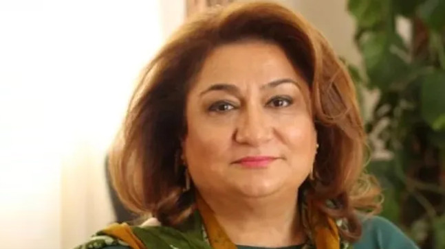 Hijran Hüseynova: “Türkiye’nin dış politikası adalete hizmet ediyor”