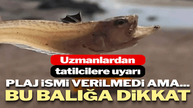 Korkutucu uyarı: Sahilde yürürken bunlara dikkat edin