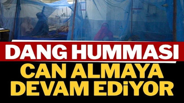 Dang humması can almaya devam ediyor